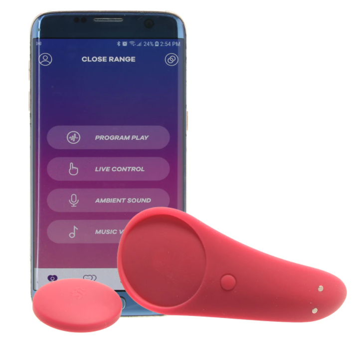 Satisfyer Sexy Secret Panty in Merlot